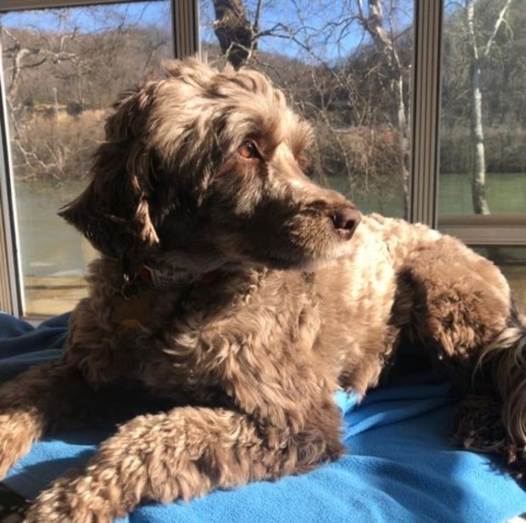 Meet your Posher, Kathy - Picture 1 of 1